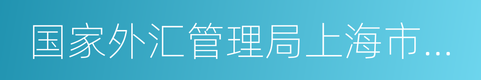 国家外汇管理局上海市分局的同义词