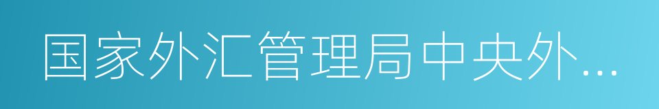 国家外汇管理局中央外汇业务中心的同义词