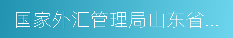 国家外汇管理局山东省分局的同义词