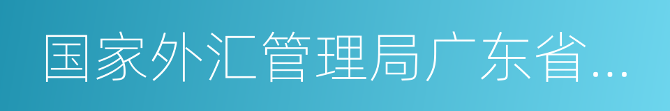 国家外汇管理局广东省分局的同义词