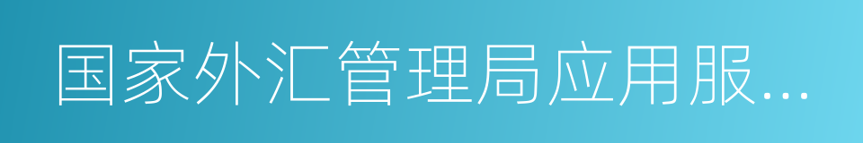 国家外汇管理局应用服务平台的同义词