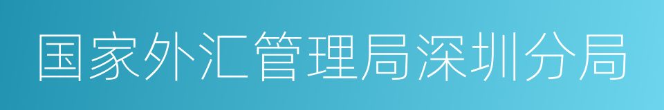 国家外汇管理局深圳分局的同义词