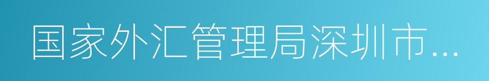 国家外汇管理局深圳市分局的同义词