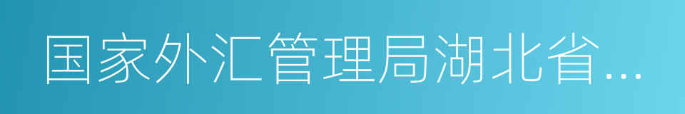 国家外汇管理局湖北省分局的同义词