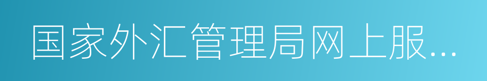 国家外汇管理局网上服务平台的同义词