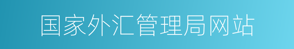 国家外汇管理局网站的同义词