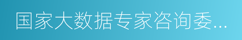 国家大数据专家咨询委员会的同义词