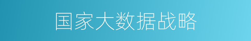 国家大数据战略的同义词