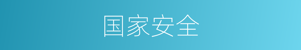 国家安全的意思