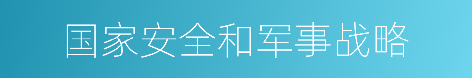 国家安全和军事战略的同义词