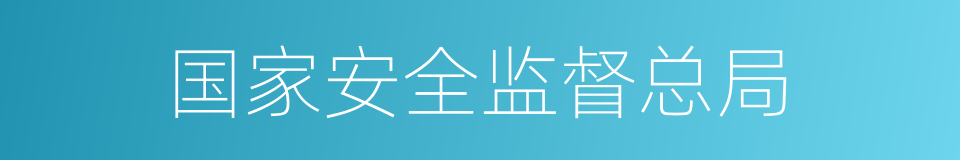 国家安全监督总局的同义词
