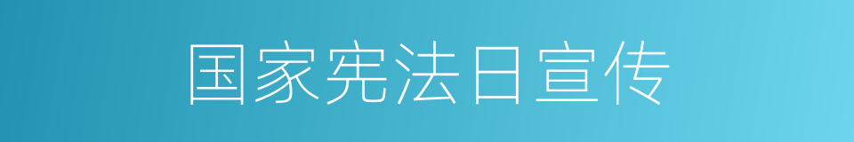 国家宪法日宣传的同义词