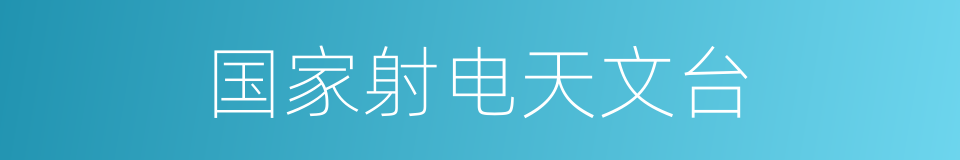 国家射电天文台的同义词