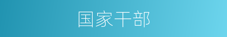 国家干部的同义词