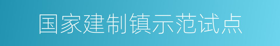 国家建制镇示范试点的同义词