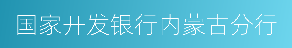 国家开发银行内蒙古分行的同义词