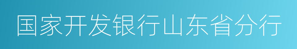 国家开发银行山东省分行的同义词
