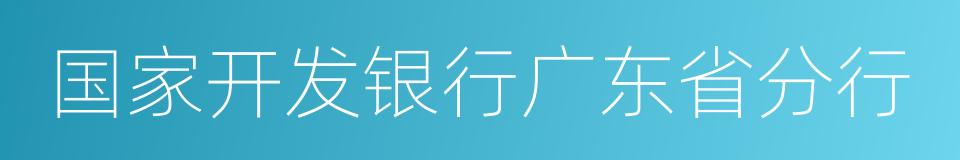 国家开发银行广东省分行的同义词