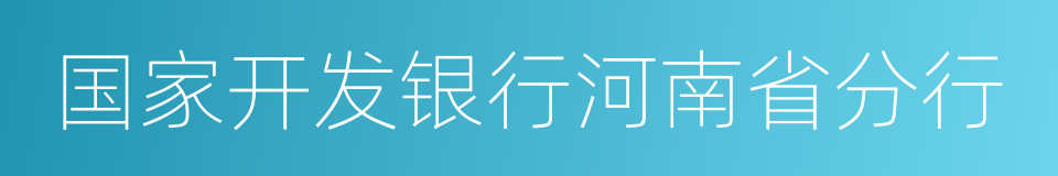 国家开发银行河南省分行的同义词