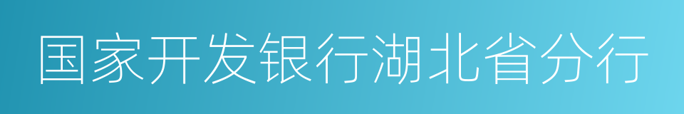 国家开发银行湖北省分行的同义词