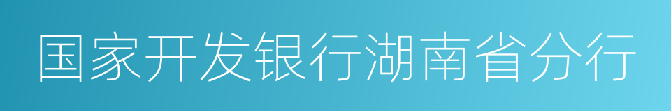 国家开发银行湖南省分行的同义词