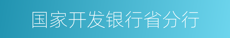 国家开发银行省分行的同义词