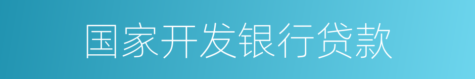 国家开发银行贷款的同义词
