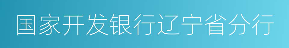 国家开发银行辽宁省分行的同义词