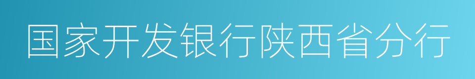 国家开发银行陕西省分行的同义词