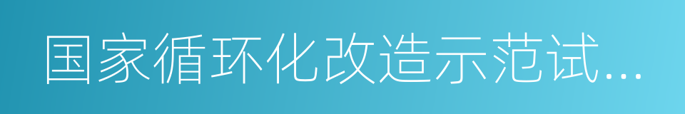 国家循环化改造示范试点园区的同义词