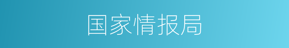 国家情报局的同义词