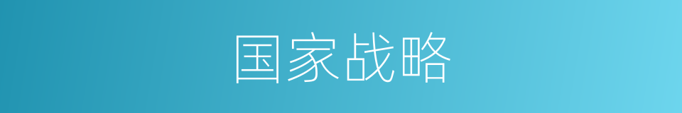 国家战略的同义词