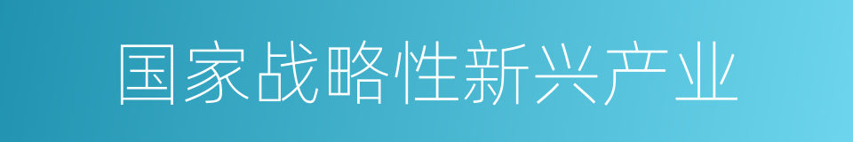 国家战略性新兴产业的同义词