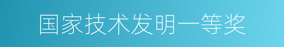 国家技术发明一等奖的同义词