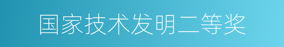 国家技术发明二等奖的同义词