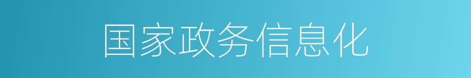 国家政务信息化的同义词