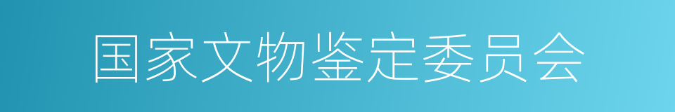 国家文物鉴定委员会的同义词