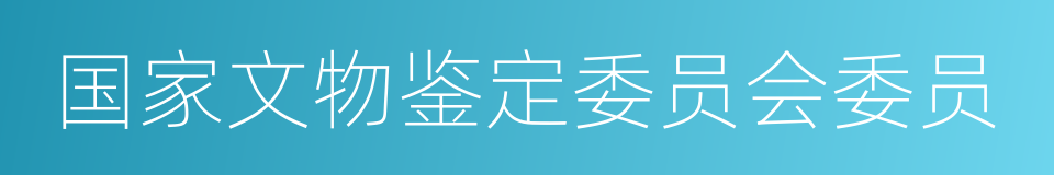 国家文物鉴定委员会委员的同义词