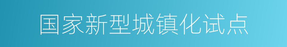 国家新型城镇化试点的同义词