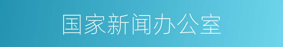 国家新闻办公室的同义词