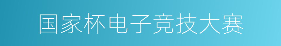 国家杯电子竞技大赛的同义词