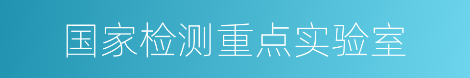 国家检测重点实验室的同义词
