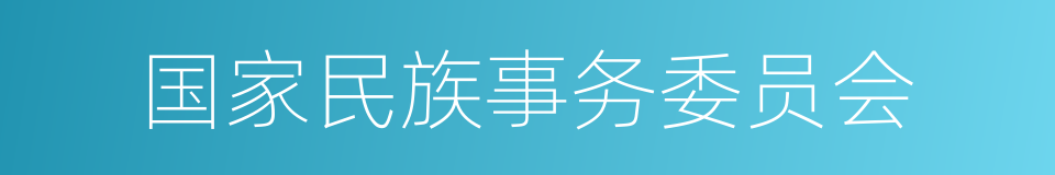 国家民族事务委员会的同义词