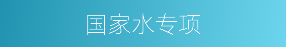 国家水专项的同义词