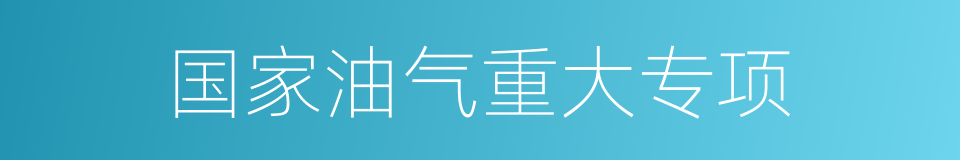 国家油气重大专项的同义词