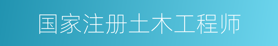 国家注册土木工程师的同义词