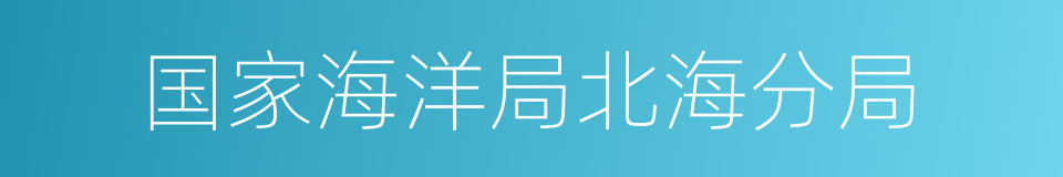 国家海洋局北海分局的同义词
