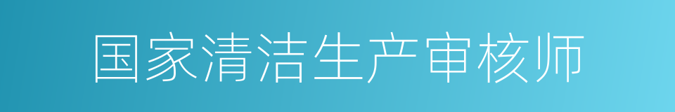 国家清洁生产审核师的同义词