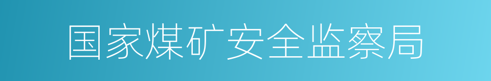 国家煤矿安全监察局的同义词