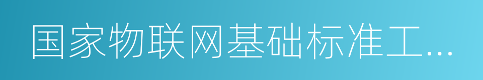 国家物联网基础标准工作组组长的同义词